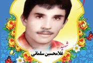 زندگی نامه شهید غلامحسین سلمانی
